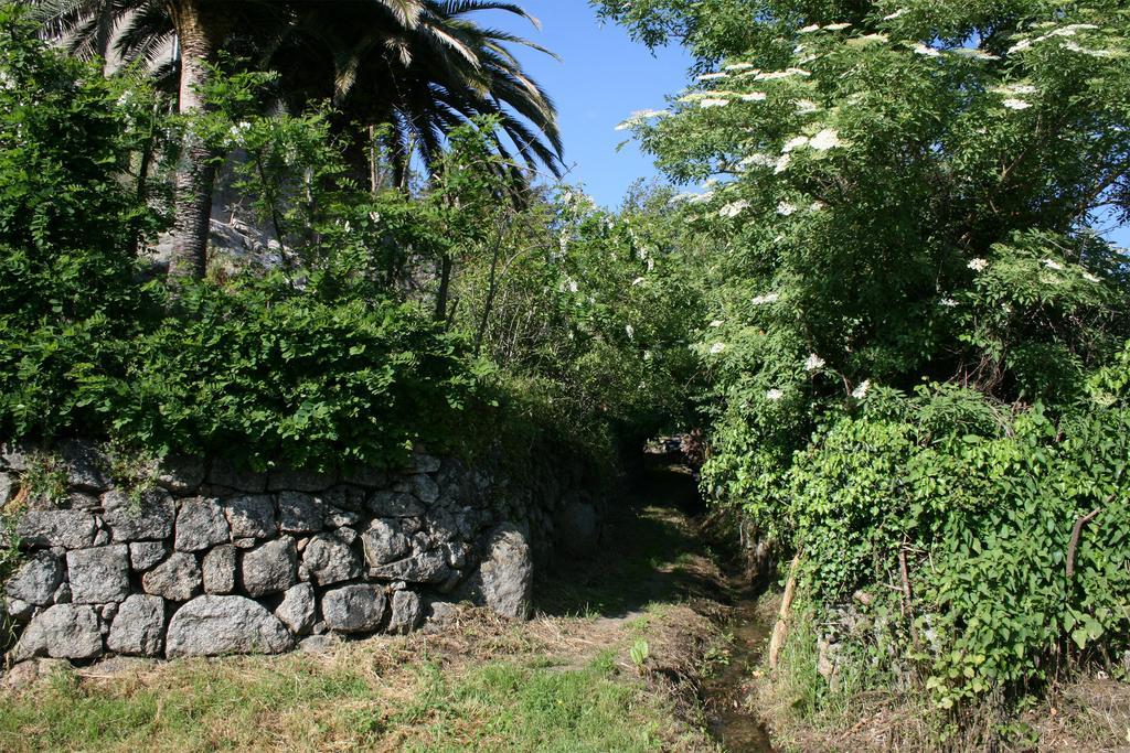 Casa Giacometti Grosseto-Prugna Habitación foto
